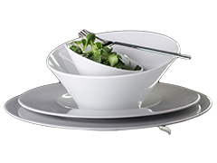 Pureline Series Porcelain Sets G. Benedikt