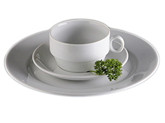 Porcelain sets of the Princip series G. Benedikt